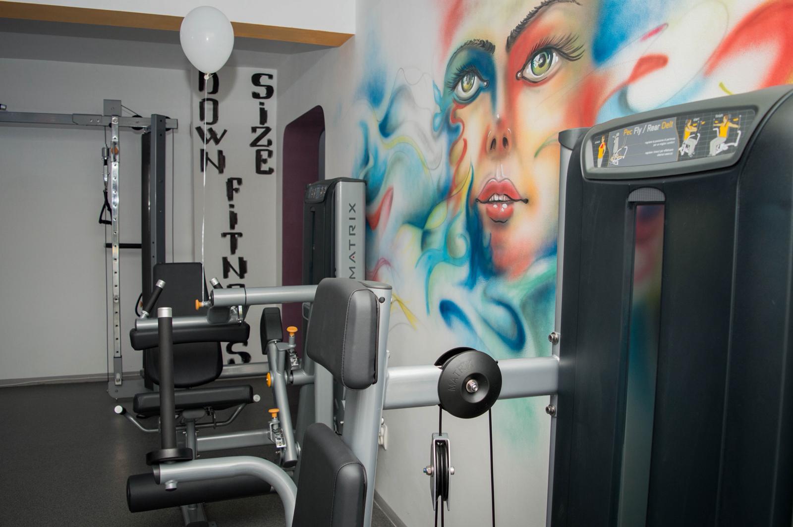 Aparate Matrix și pictură murală Downsize Fitness
