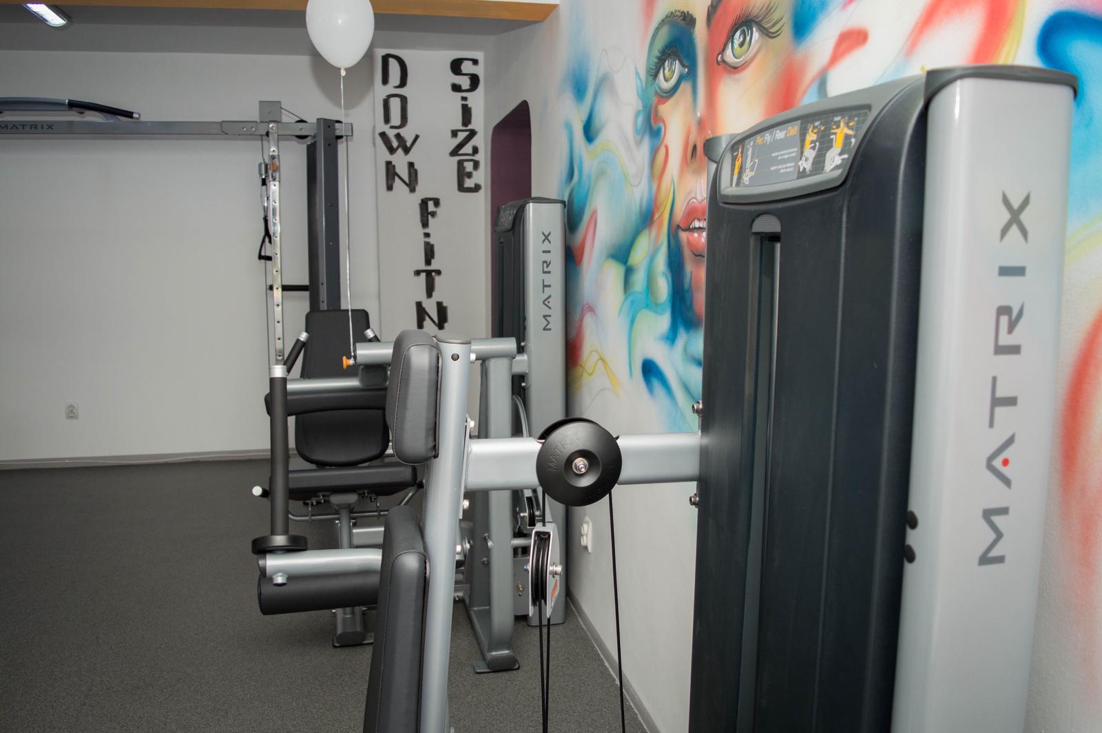 Aparate fitness Matrix în sală